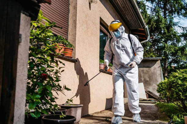 Best Wasp Removal Services  in Terrace Heights, WA