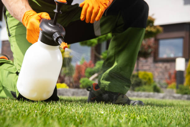 Best Wildlife Control Services  in Terrace Heights, WA