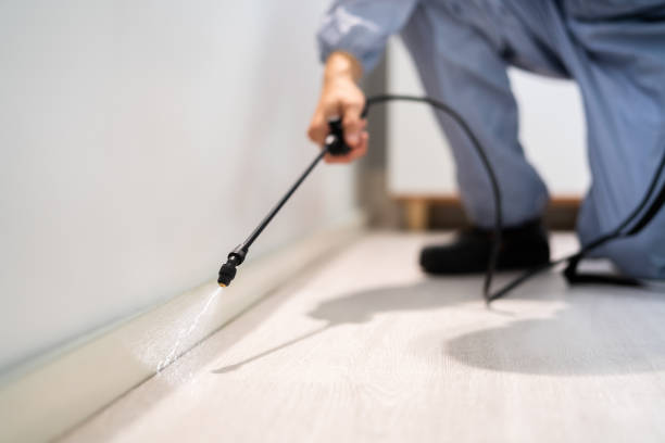 Best Best Pest Control Companies  in Terrace Heights, WA