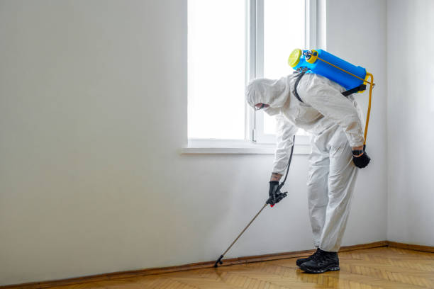 Pest Control for Restaurants in Terrace Heights, WA