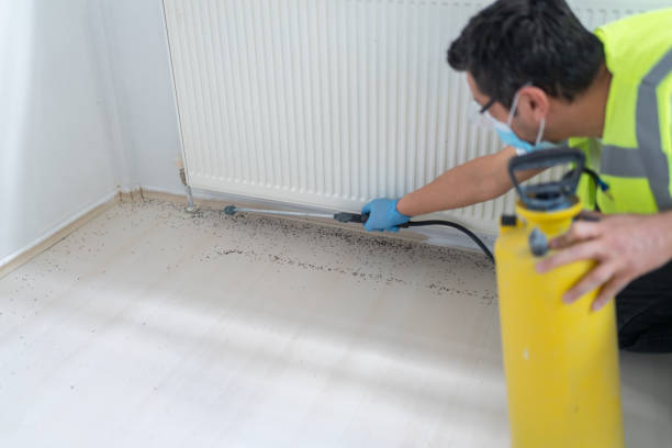 Best Emergency Pest Control  in Terrace Heights, WA
